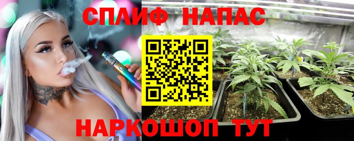 Шишки марихуана планчик Шатура
